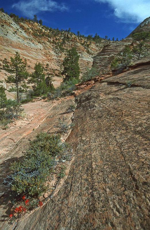 1996-04 Utah Trip 30.jpg